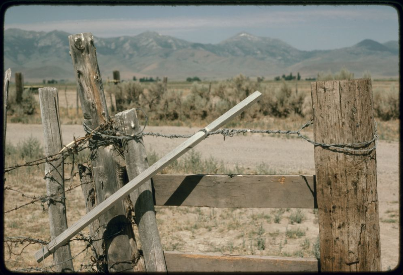 Illustration for article titled Barbed Wire